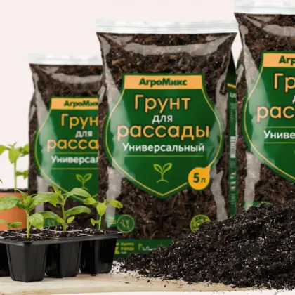 Грунты для рассады